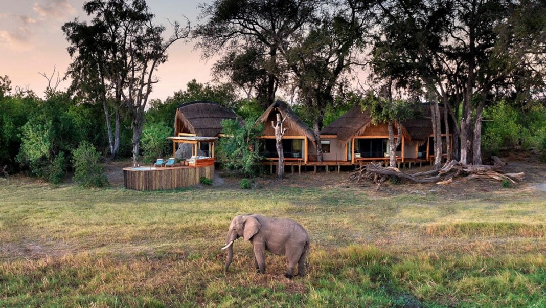 Do luxury safaris make a difference?