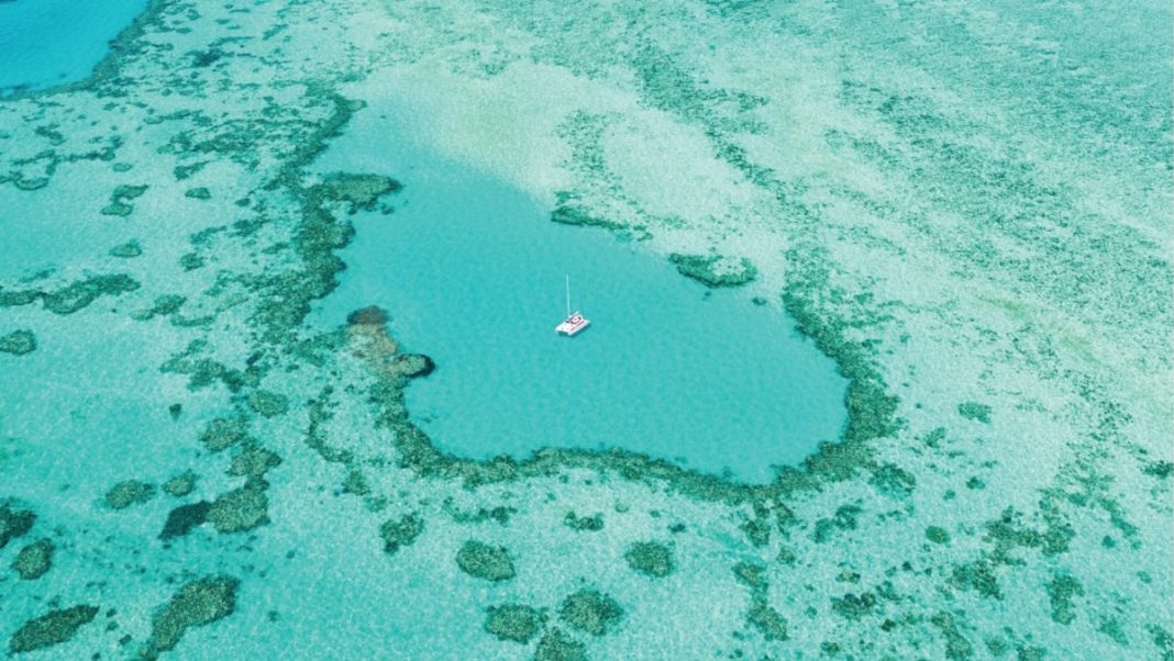 How travelers can help protect the Great Barrier Reef’s corals