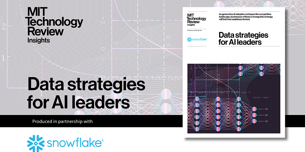 Data strategies for AI leaders