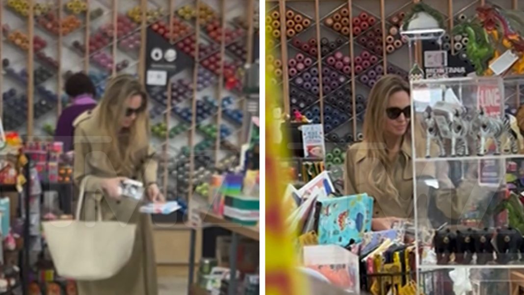 Angelina Jolie Goes Incognito for Last-Minute Holiday Shopping